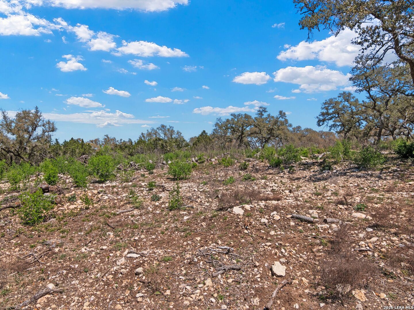 189 Table Rock Helotes, TX 78023 - Photo 15 of 91