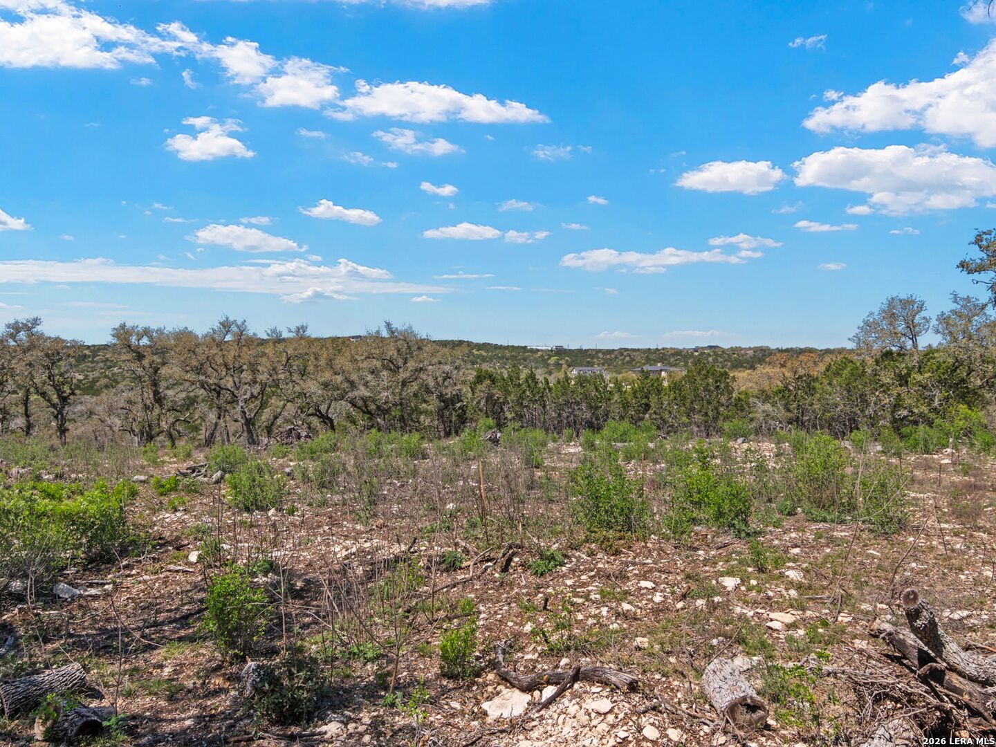 189 Table Rock Helotes, TX 78023 - Photo 18 of 91