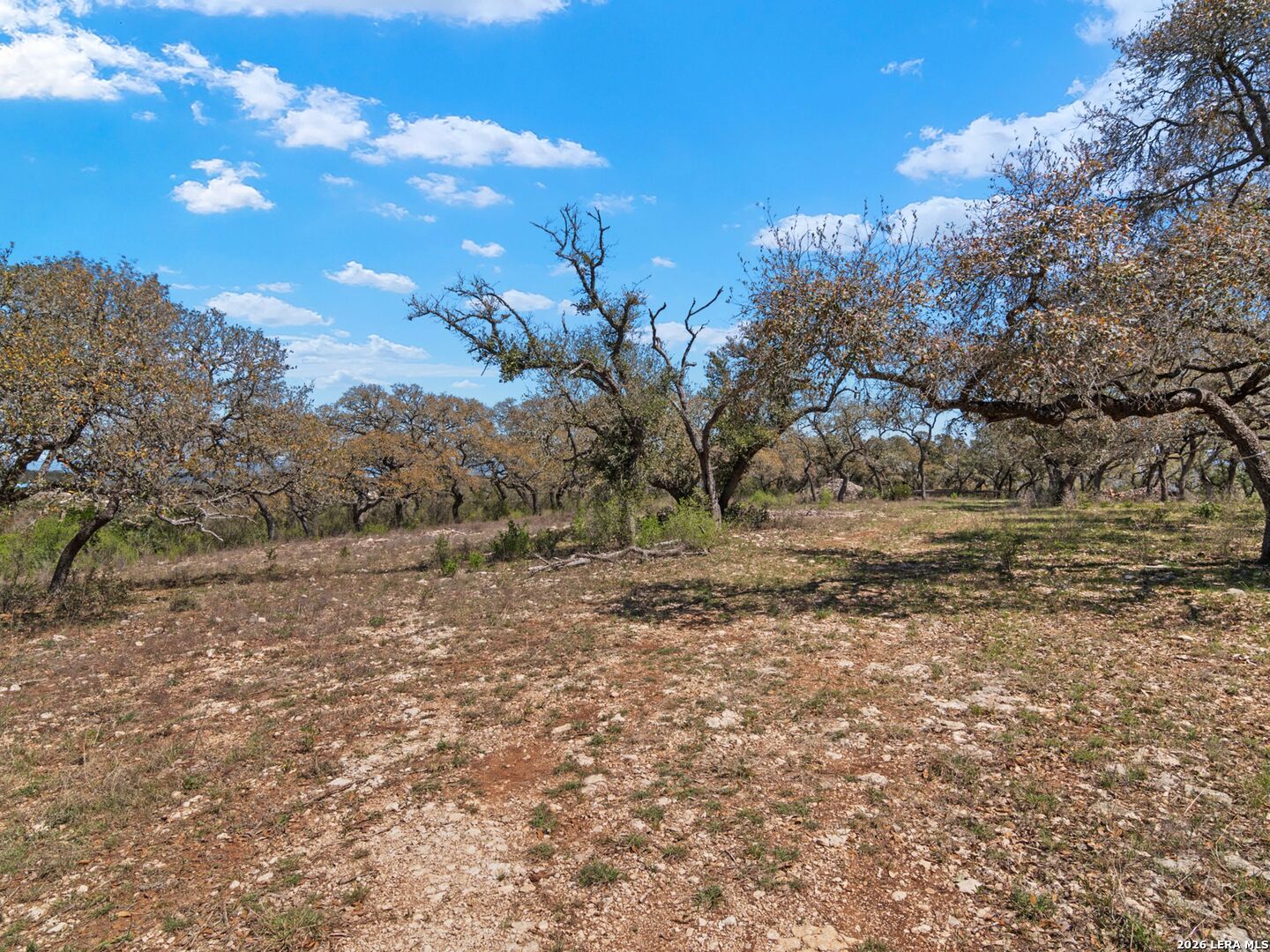 189 Table Rock Helotes, TX 78023 - Photo 19 of 91