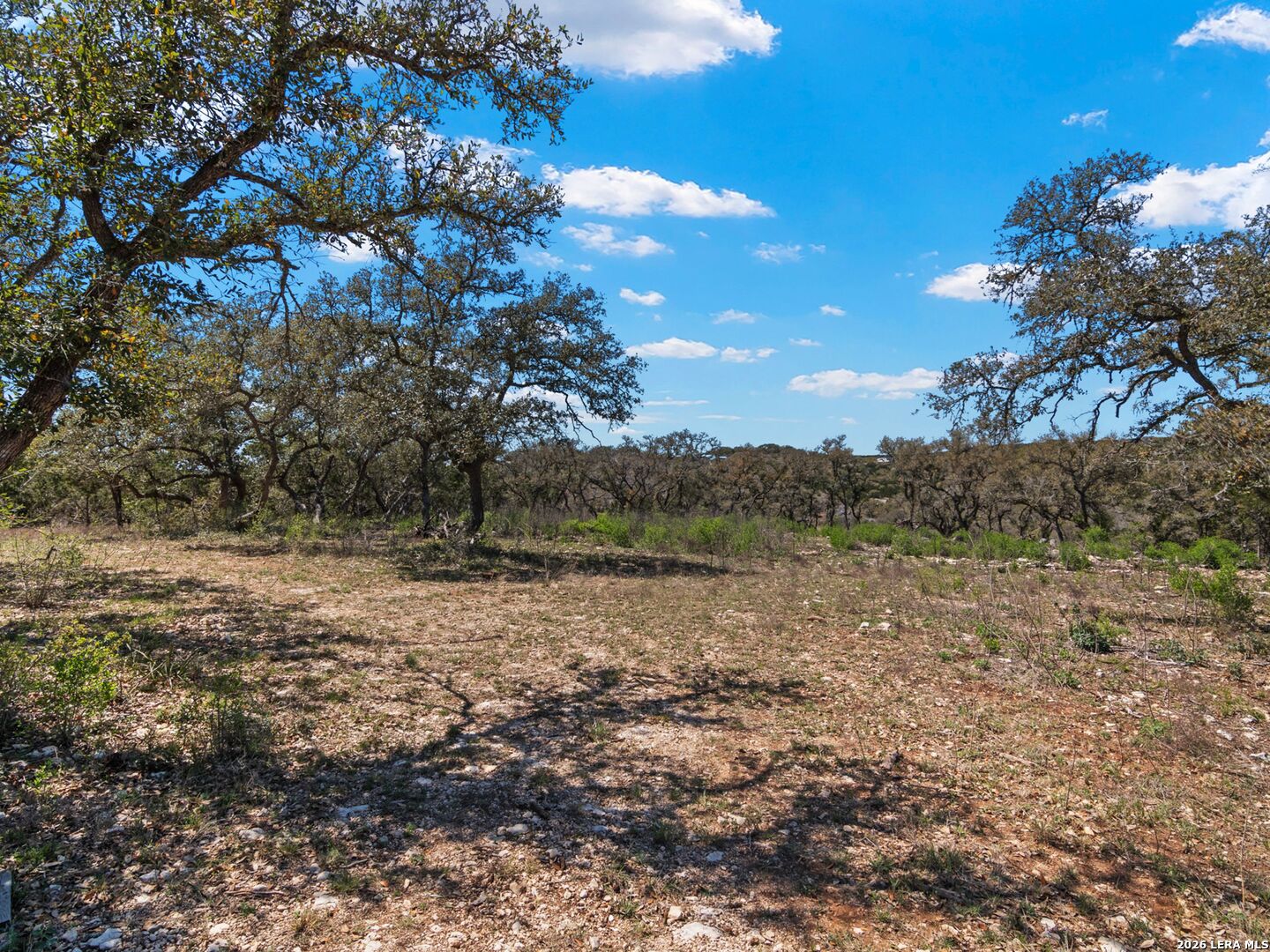 189 Table Rock Helotes, TX 78023 - Photo 20 of 91
