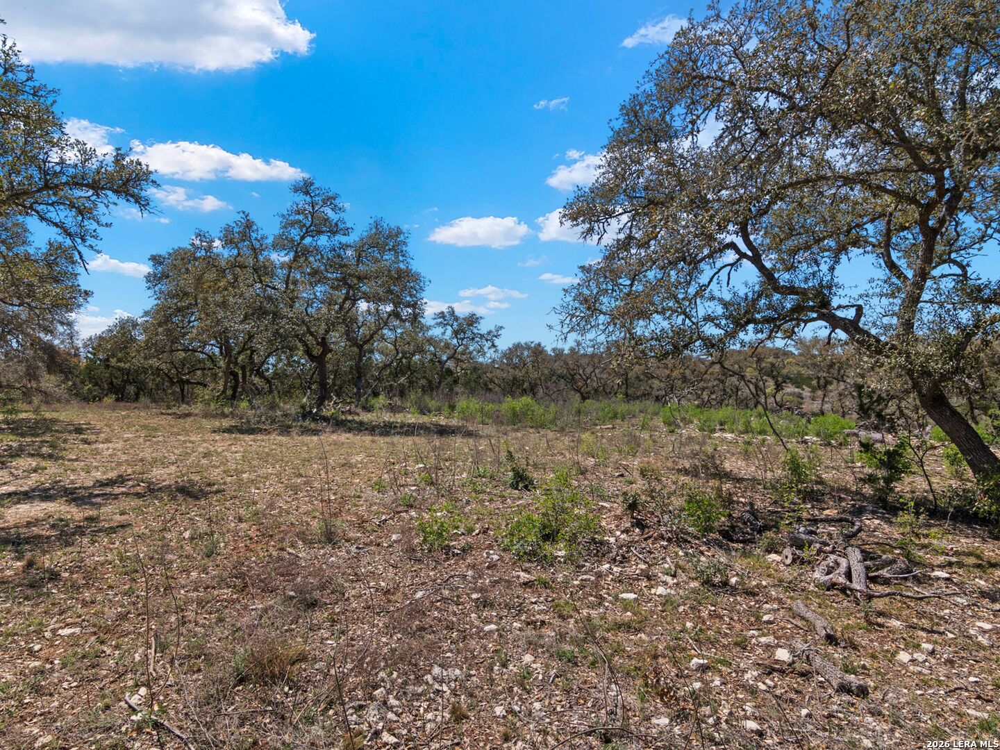 189 Table Rock Helotes, TX 78023 - Photo 21 of 91