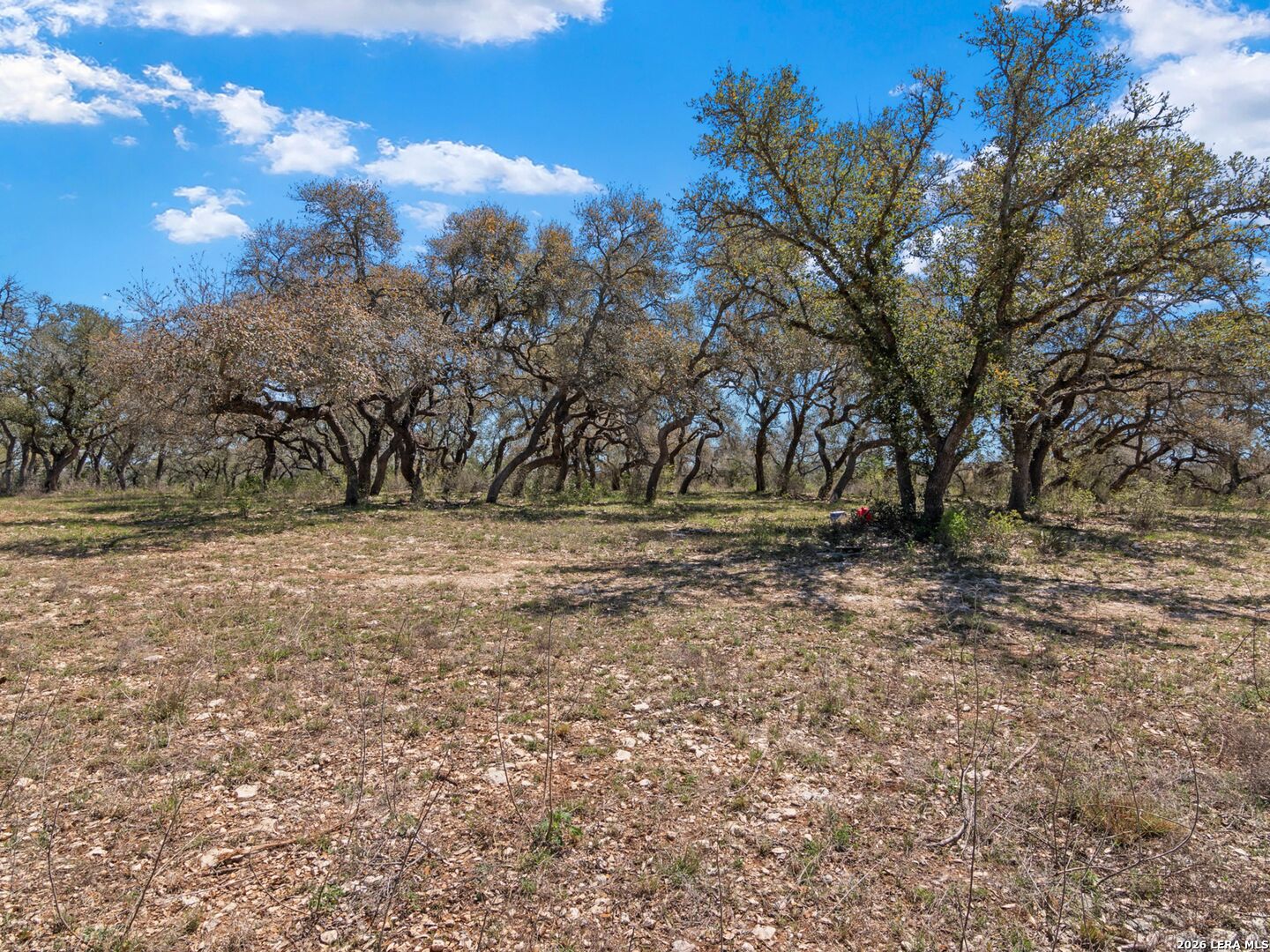 189 Table Rock Helotes, TX 78023 - Photo 22 of 91