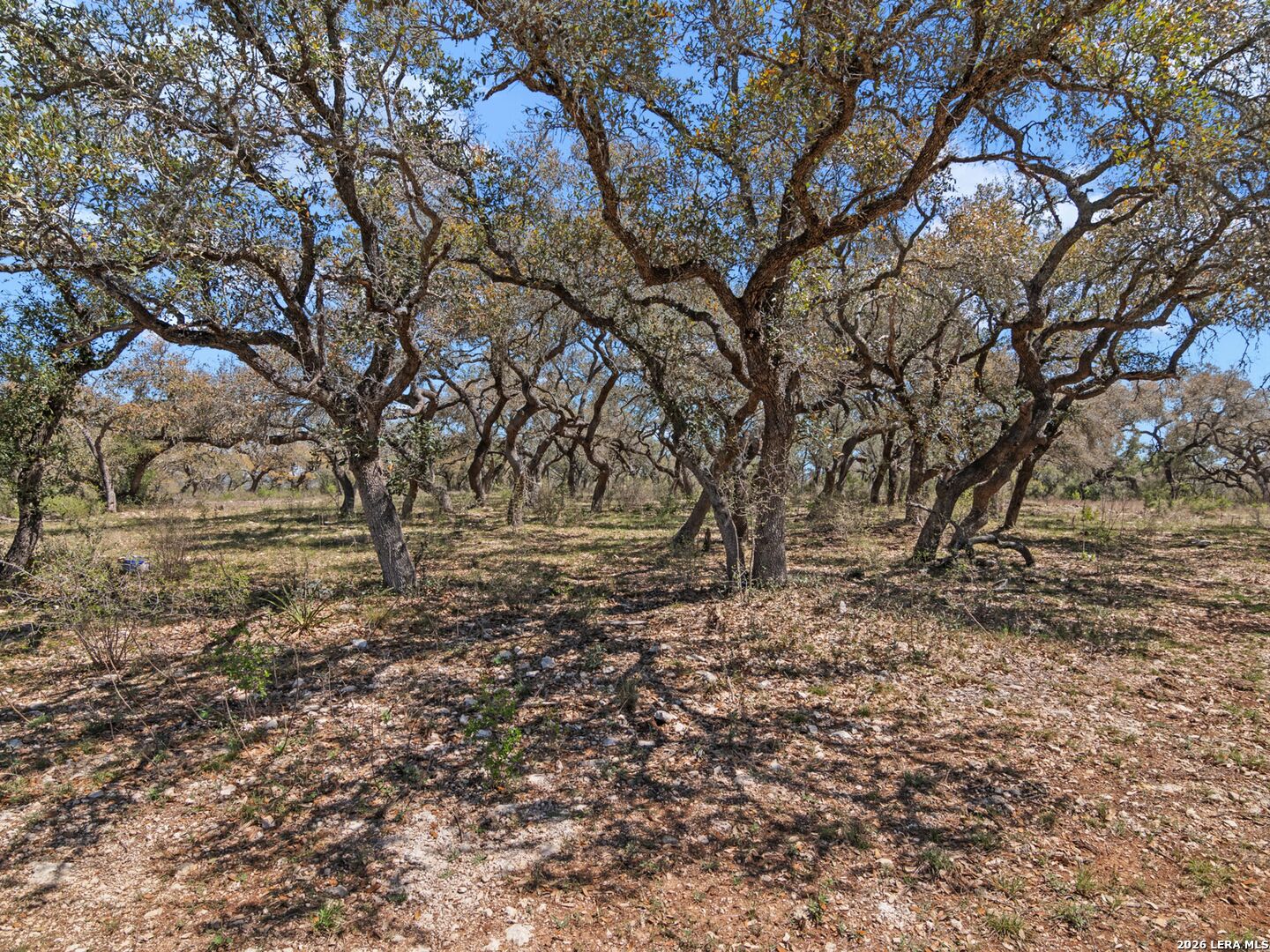 189 Table Rock Helotes, TX 78023 - Photo 24 of 91