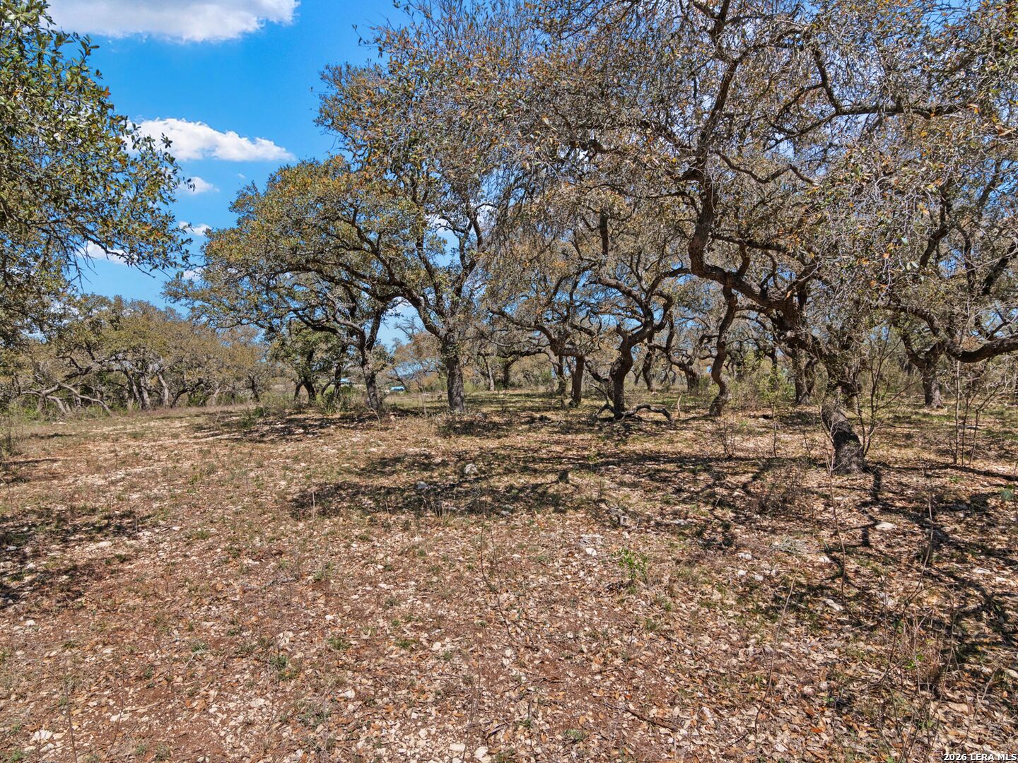189 Table Rock Helotes, TX 78023 - Photo 25 of 91