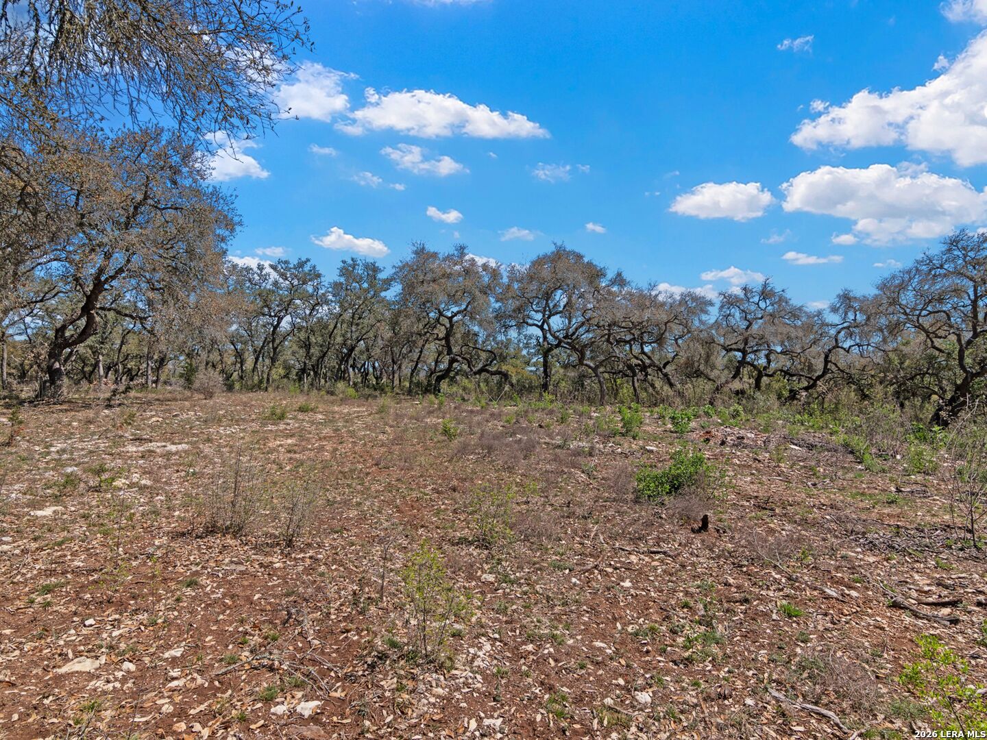 189 Table Rock Helotes, TX 78023 - Photo 27 of 91