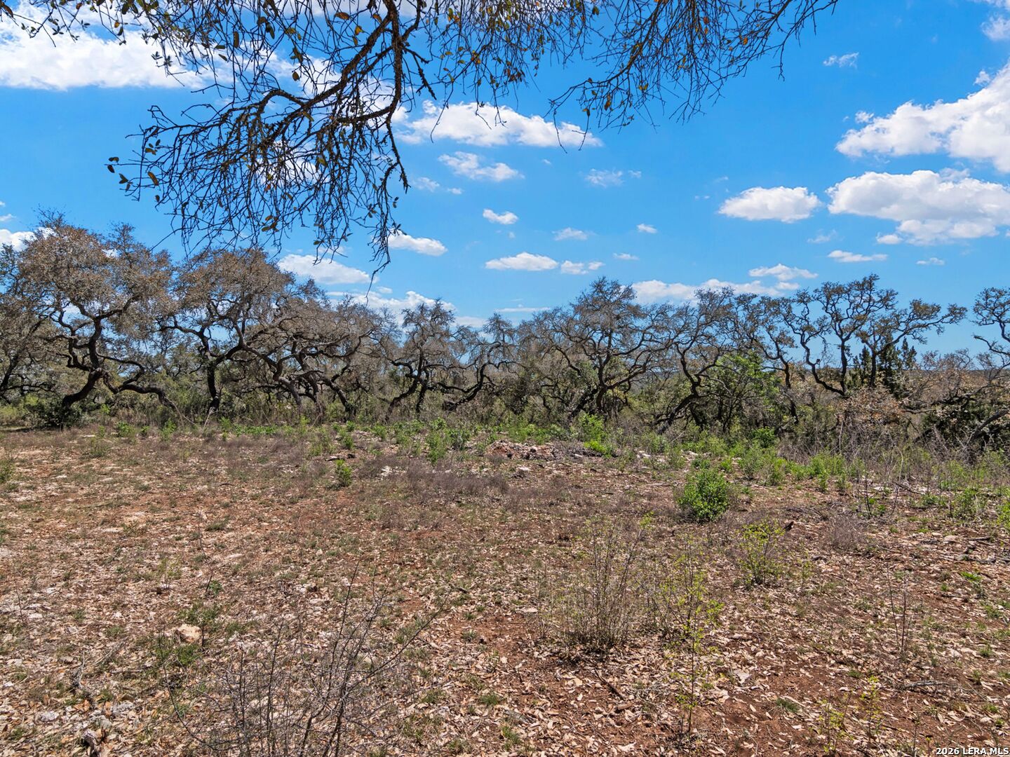 189 Table Rock Helotes, TX 78023 - Photo 28 of 91 a view of a yard with lots of green space