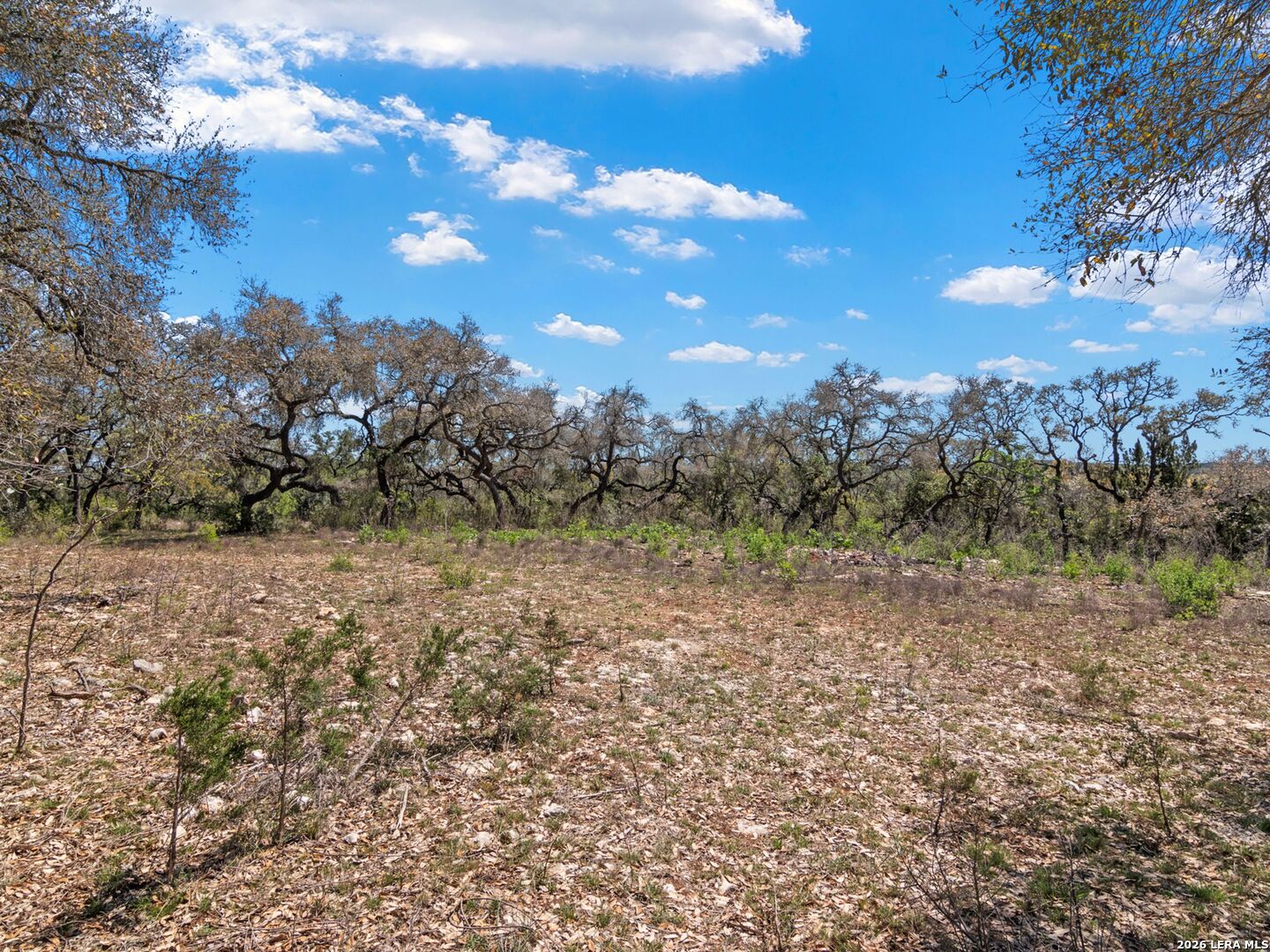 189 Table Rock Helotes, TX 78023 - Photo 30 of 91 a view of a field with trees