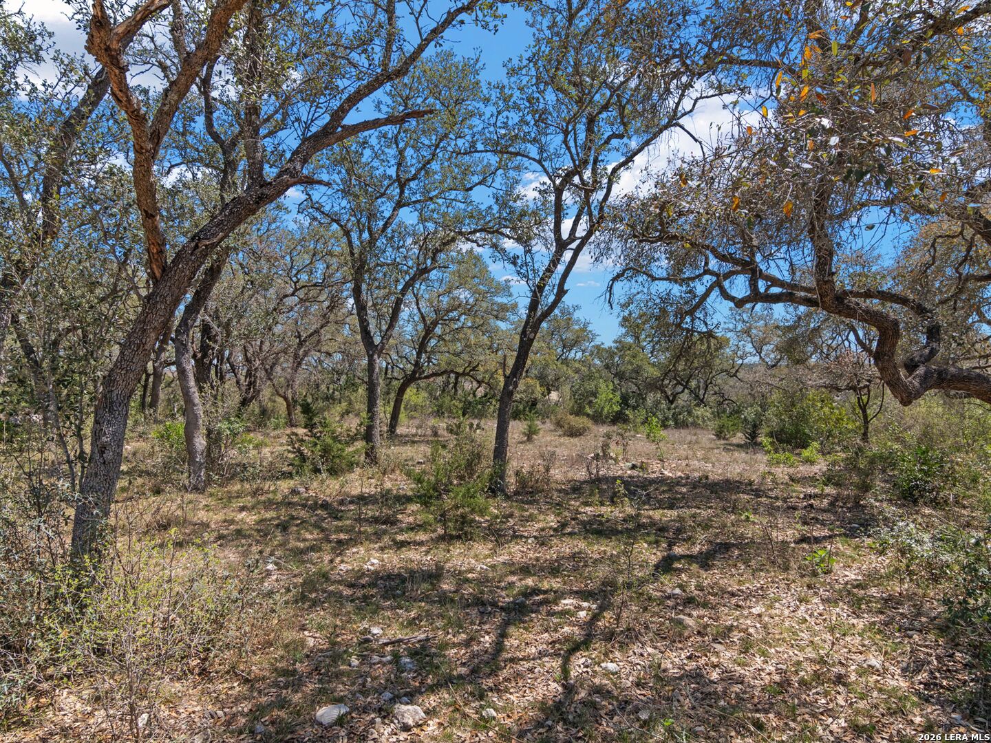 189 Table Rock Helotes, TX 78023 - Photo 32 of 91 a big yard with lots of green space