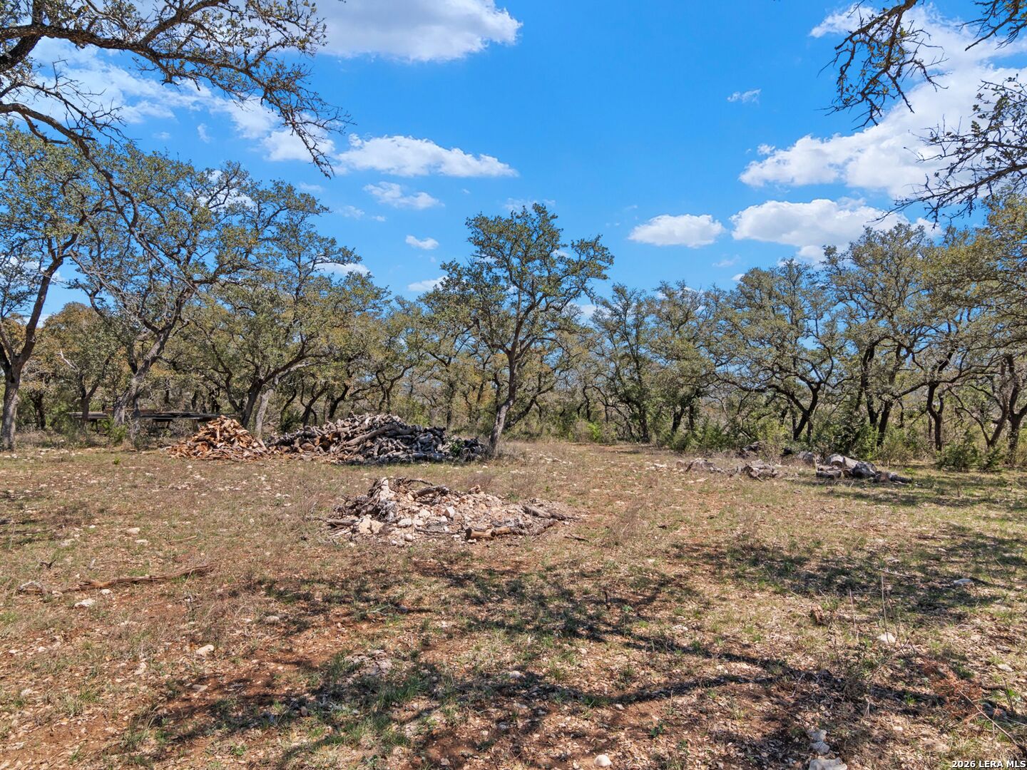189 Table Rock Helotes, TX 78023 - Photo 34 of 91 a view of dirt yard with a large tree