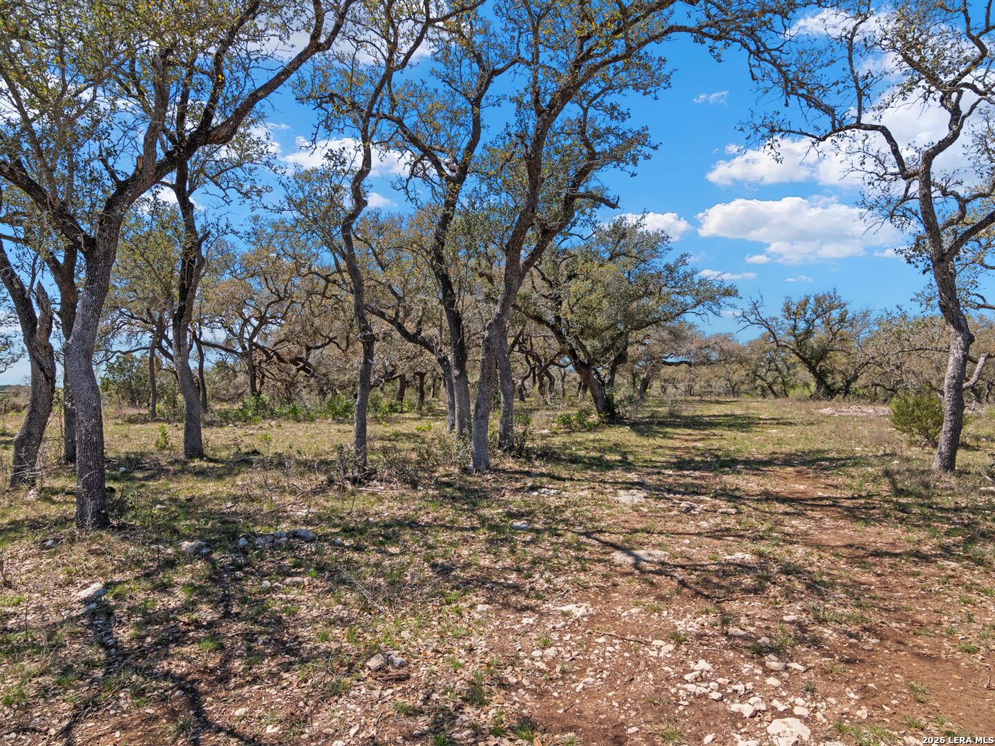 189 Table Rock Helotes, TX 78023 - Photo 35 of 91 a view of dirt yard with a tree