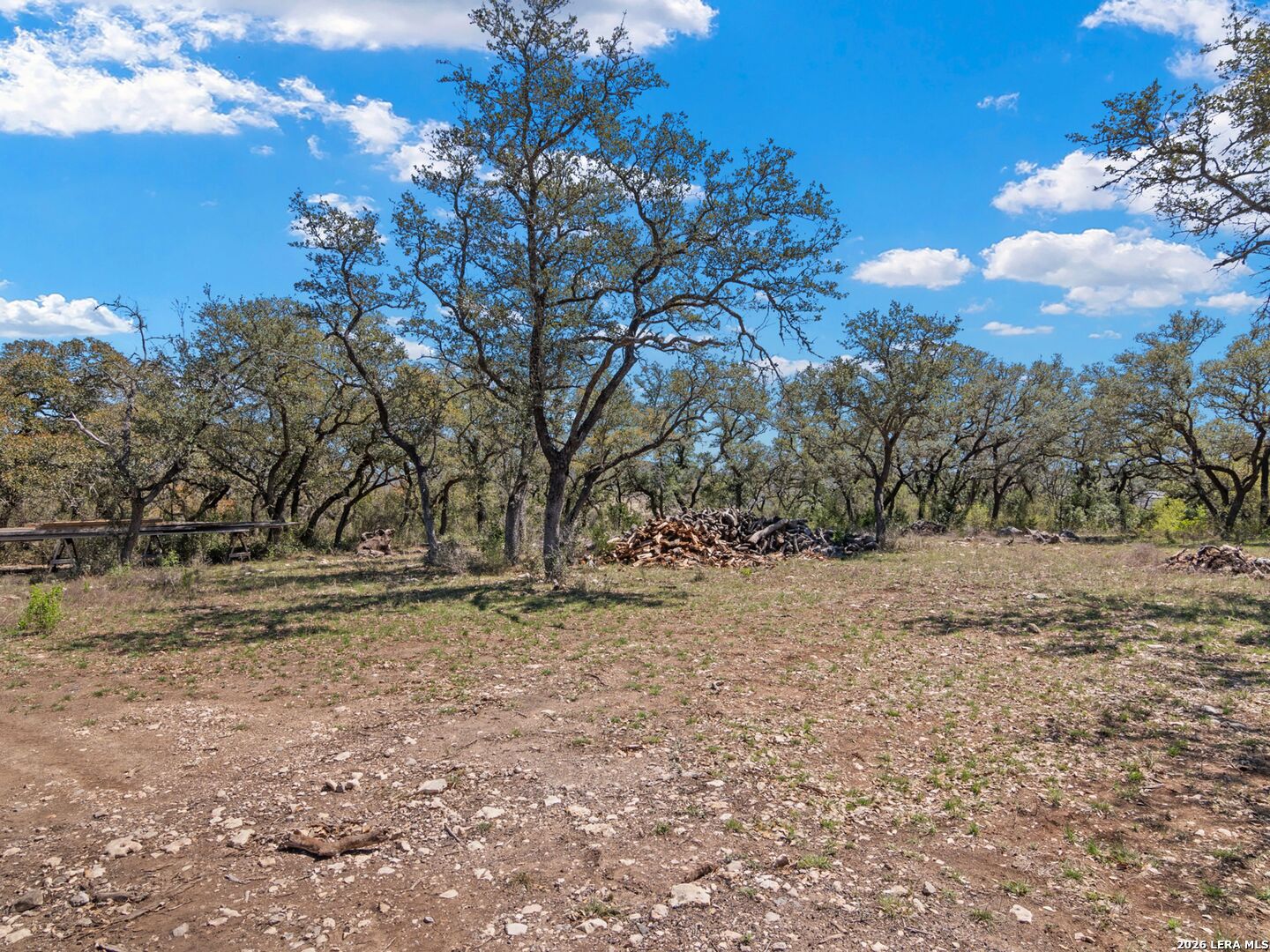 189 Table Rock Helotes, TX 78023 - Photo 36 of 91 a view of dirt yard with a large tree