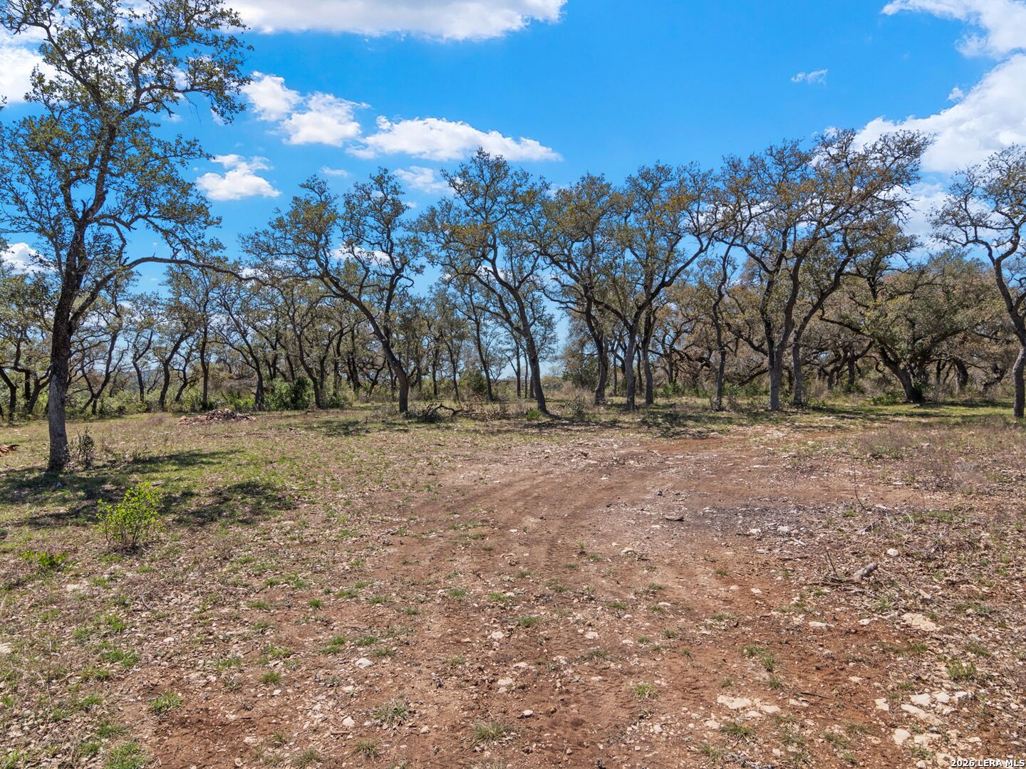 189 Table Rock Helotes, TX 78023 - Photo 38 of 91