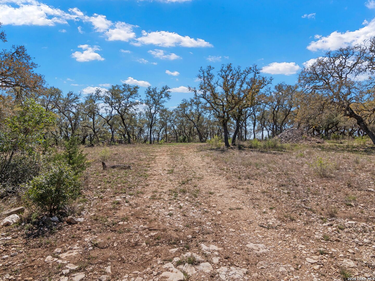 189 Table Rock Helotes, TX 78023 - Photo 39 of 91