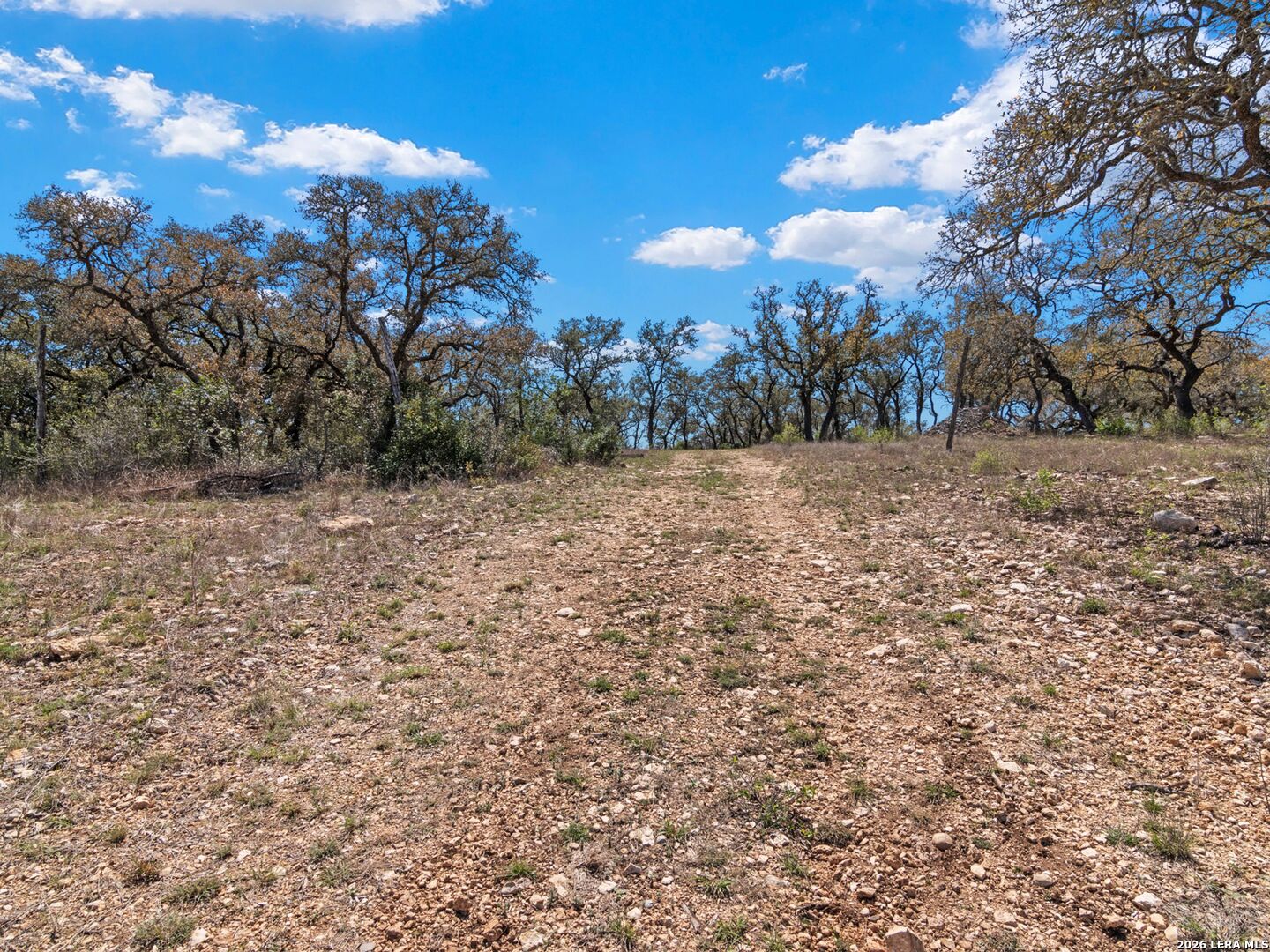 189 Table Rock Helotes, TX 78023 - Photo 41 of 91 a view of a yard with a tree