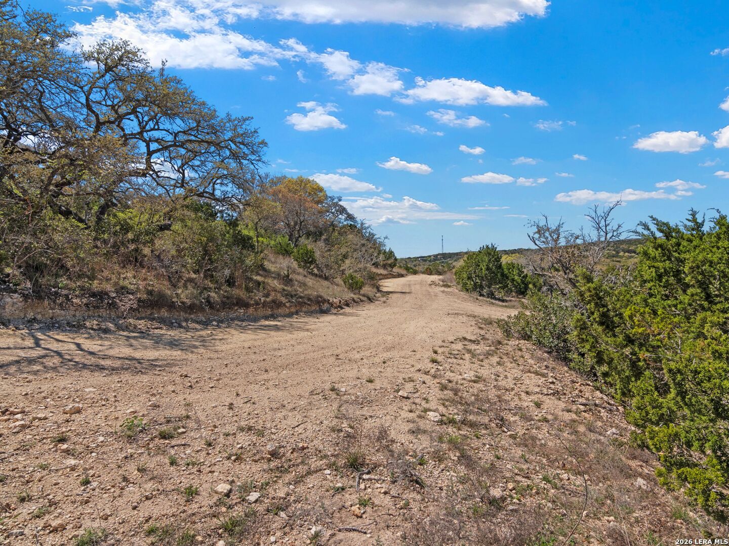 189 Table Rock Helotes, TX 78023 - Photo 44 of 91 a view of a dry yard with trees