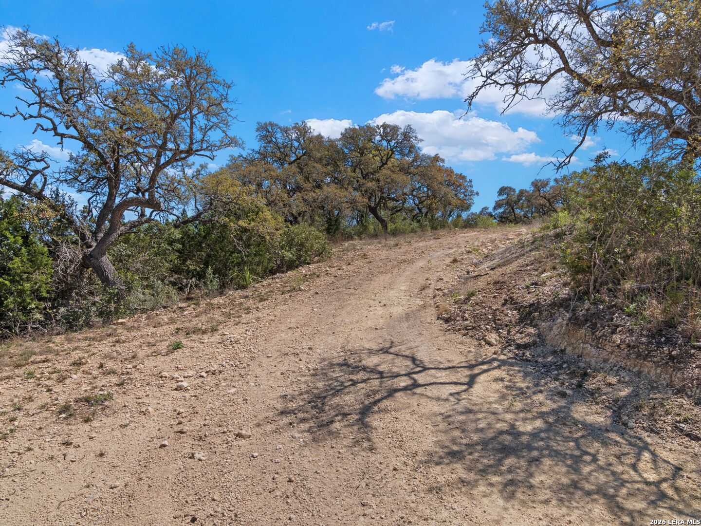 189 Table Rock Helotes, TX 78023 - Photo 45 of 91