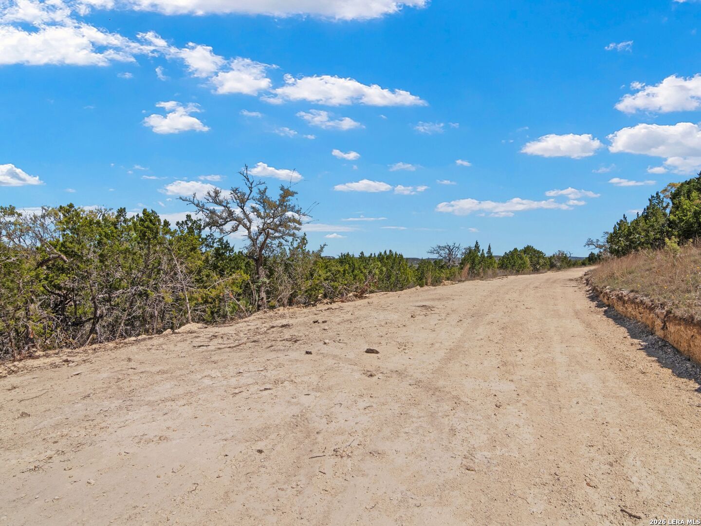 189 Table Rock Helotes, TX 78023 - Photo 51 of 91