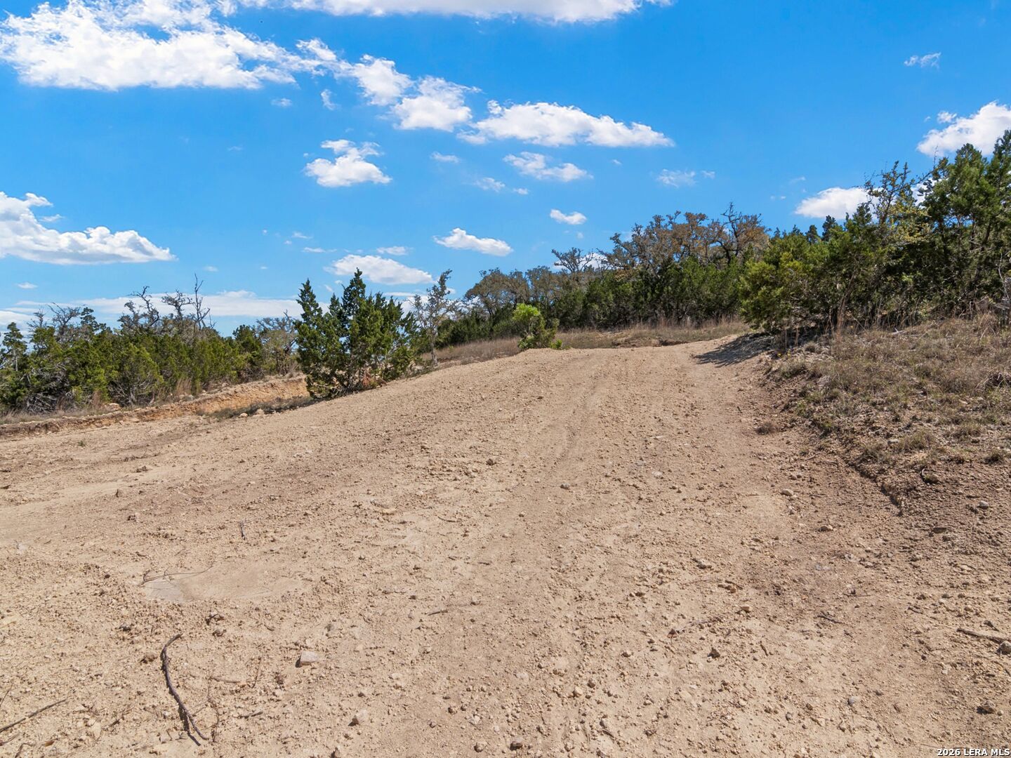 189 Table Rock Helotes, TX 78023 - Photo 55 of 91 a view of a dry yard with lots of trees