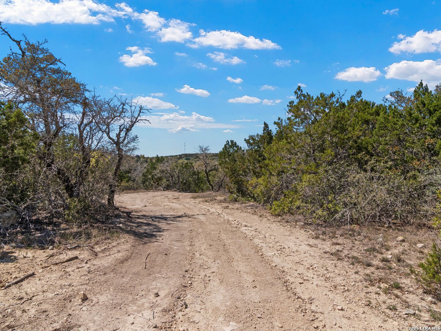 189 Table Rock Helotes, TX 78023 - Photo 56 of 91 a view of dirt yard with a tree