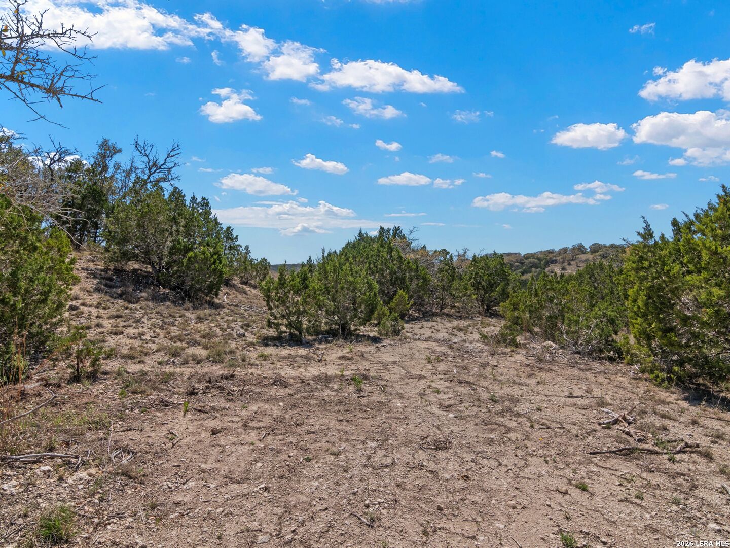 189 Table Rock Helotes, TX 78023 - Photo 57 of 91 a view of a yard with a tree