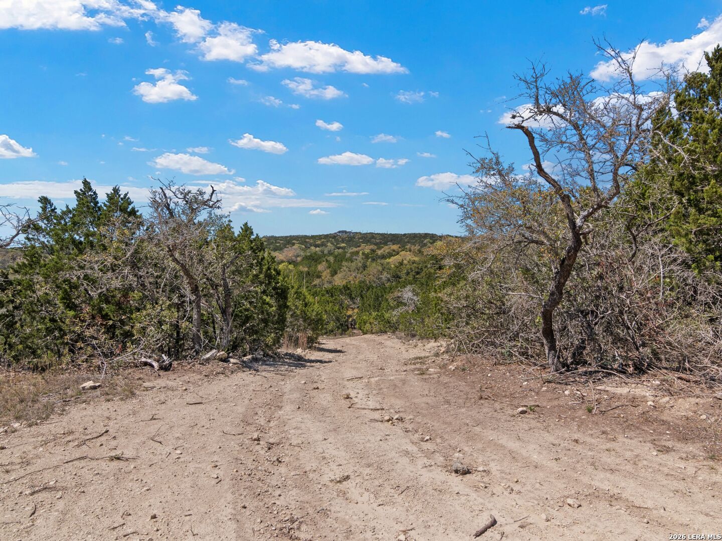 189 Table Rock Helotes, TX 78023 - Photo 58 of 91 a view of a yard with wooden fence