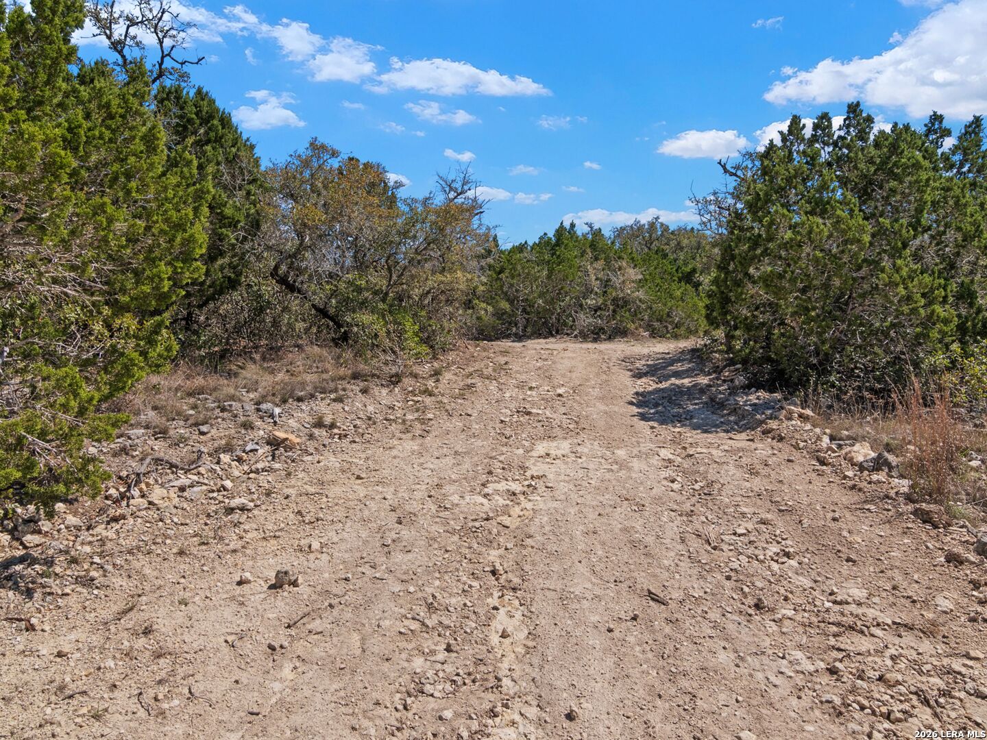 189 Table Rock Helotes, TX 78023 - Photo 59 of 91 a view of a yard with trees in the background