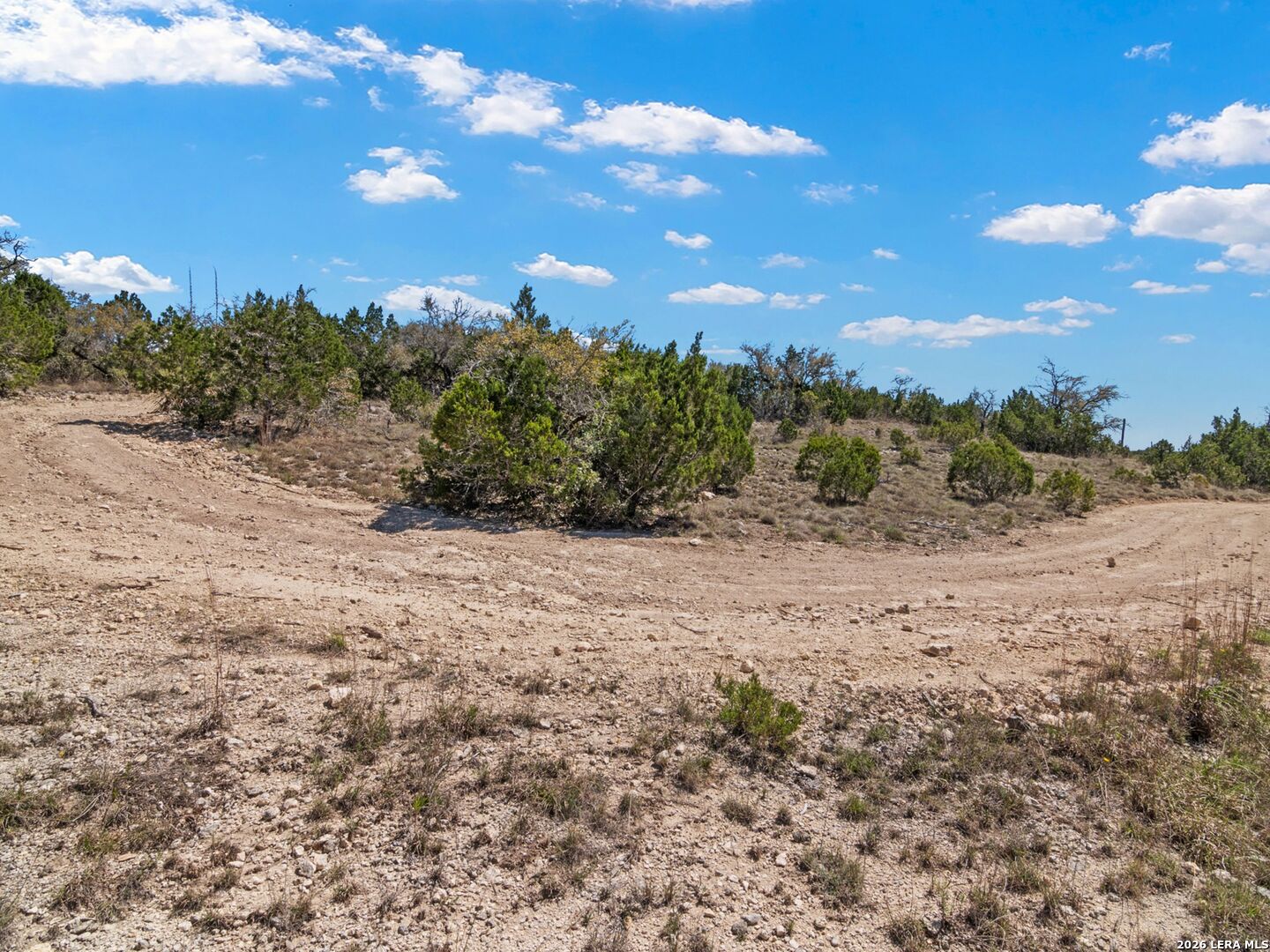 189 Table Rock Helotes, TX 78023 - Photo 60 of 91 a view of a dry yard with trees