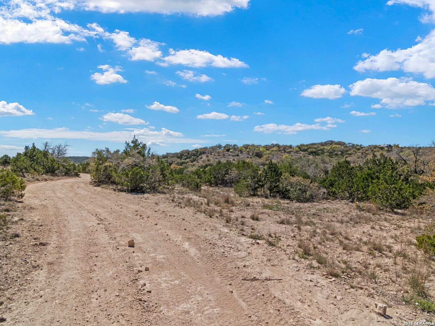 189 Table Rock Helotes, TX 78023 - Photo 61 of 91 a view of a dry yard with lots of trees