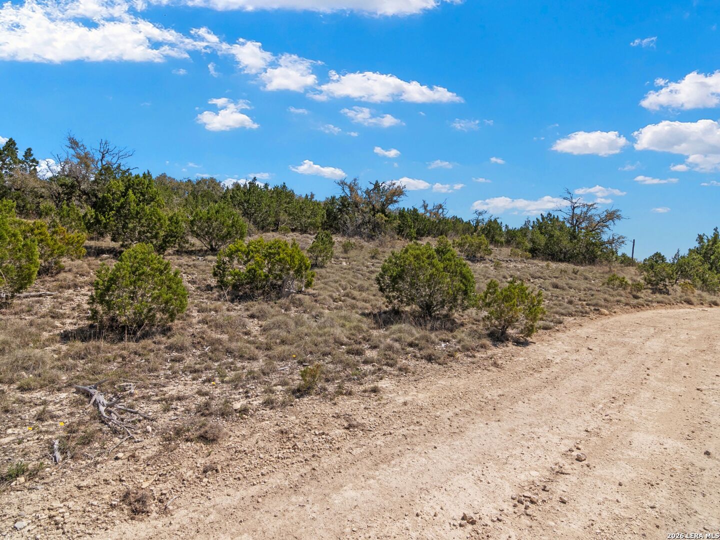 189 Table Rock Helotes, TX 78023 - Photo 62 of 91 a view of a dry yard with lots of trees
