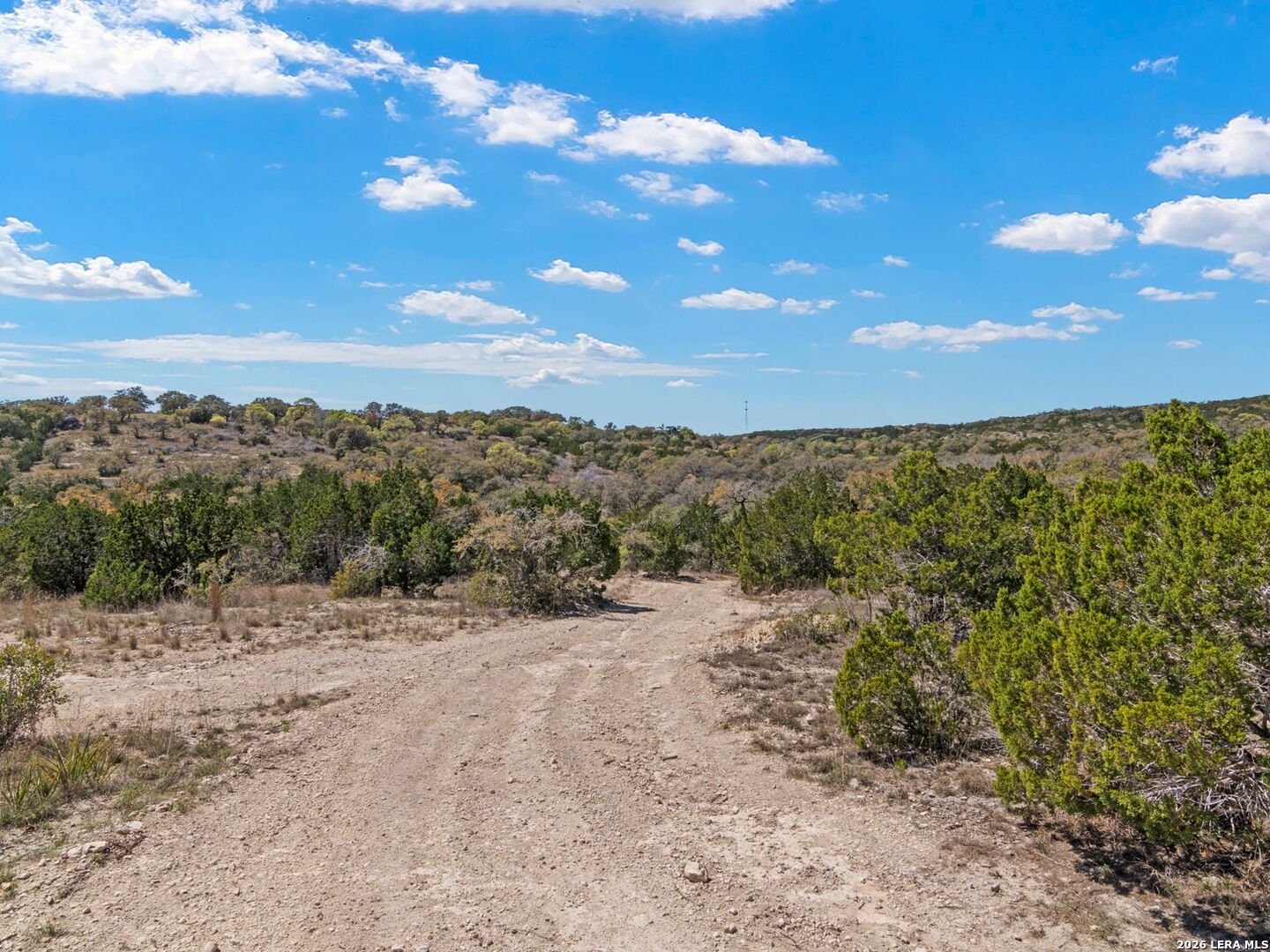 189 Table Rock Helotes, TX 78023 - Photo 66 of 91 a view of a dry yard with mountains in the background