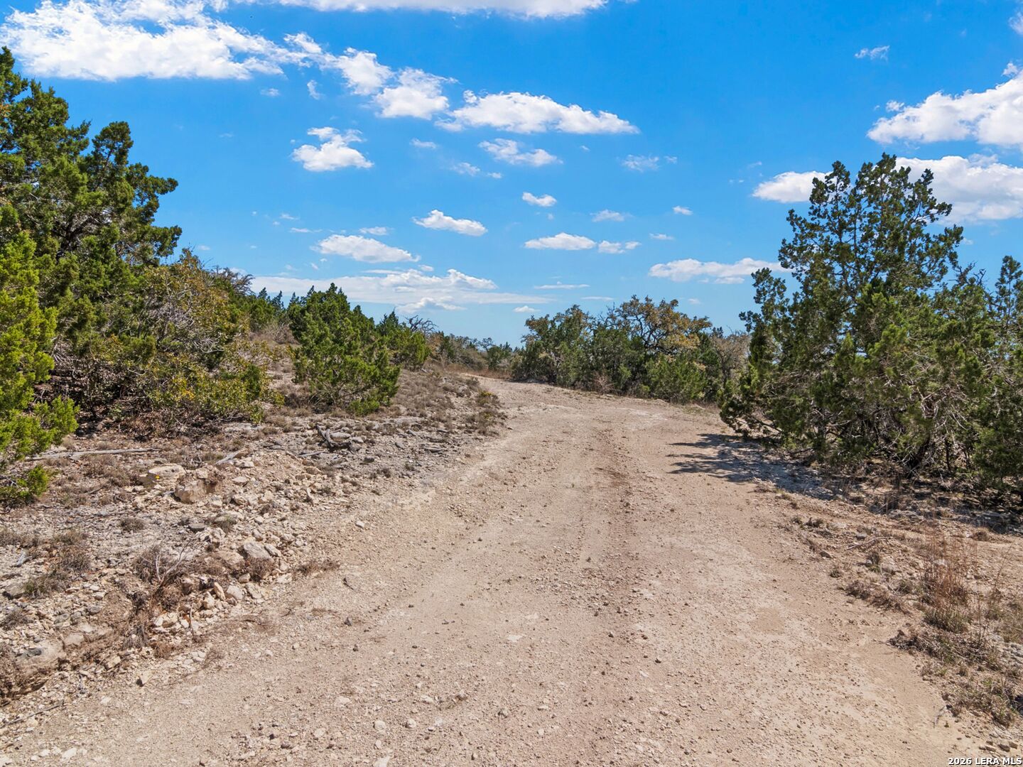 189 Table Rock Helotes, TX 78023 - Photo 68 of 91 a view of a dry yard with trees