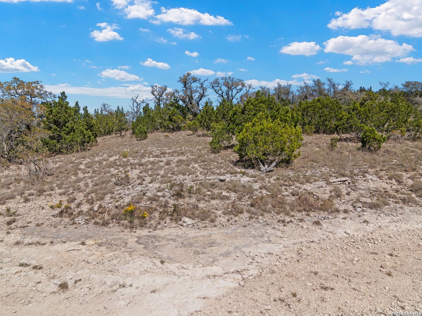 189 Table Rock Helotes, TX 78023 - Photo 70 of 91