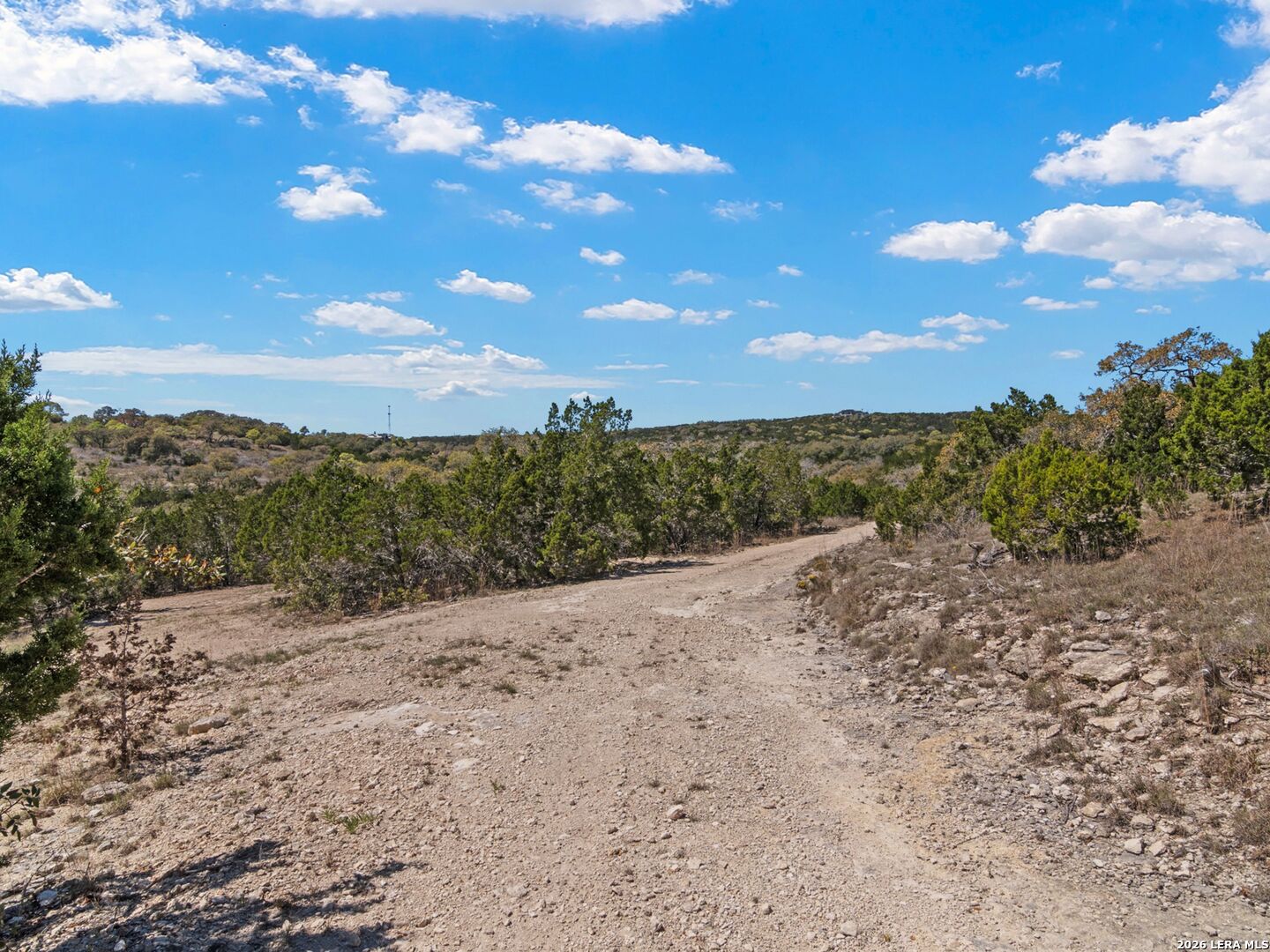 189 Table Rock Helotes, TX 78023 - Photo 71 of 91 a view of a dry yard with lots of trees