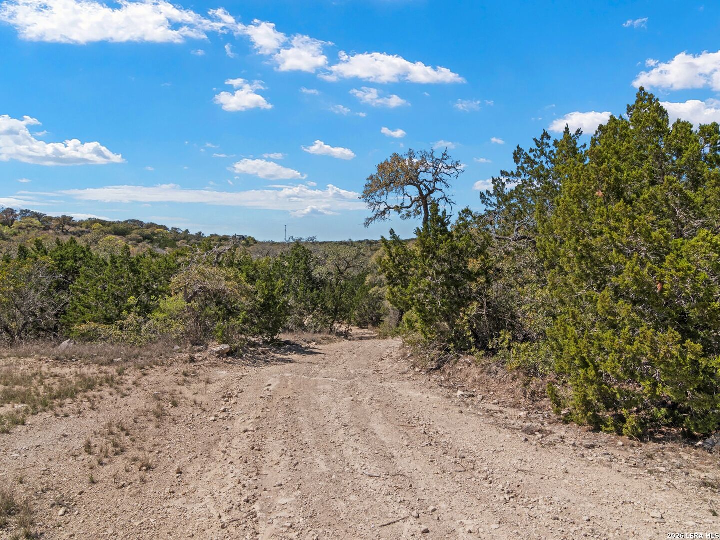 189 Table Rock Helotes, TX 78023 - Photo 72 of 91 a view of a dry yard with lots of trees