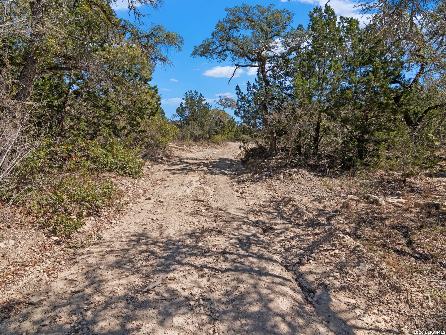 189 Table Rock Helotes, TX 78023 - Photo 73 of 91 a view of a yard with a tree