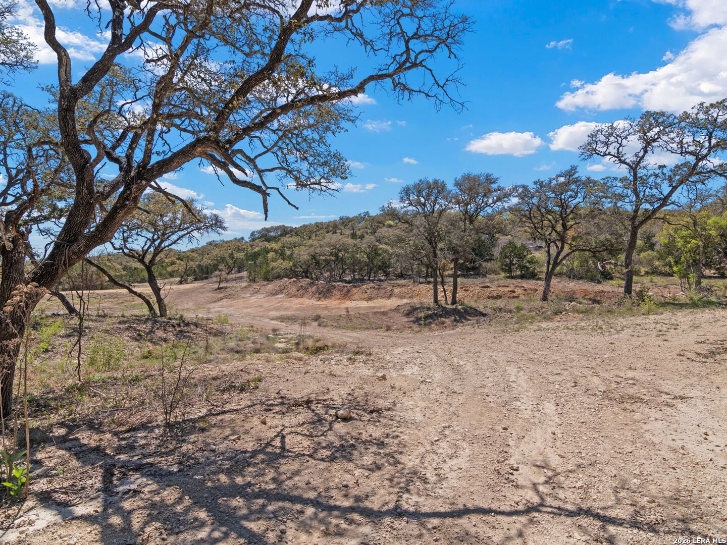 189 Table Rock Helotes, TX 78023 - Photo 74 of 91 a view of outdoor space with trees