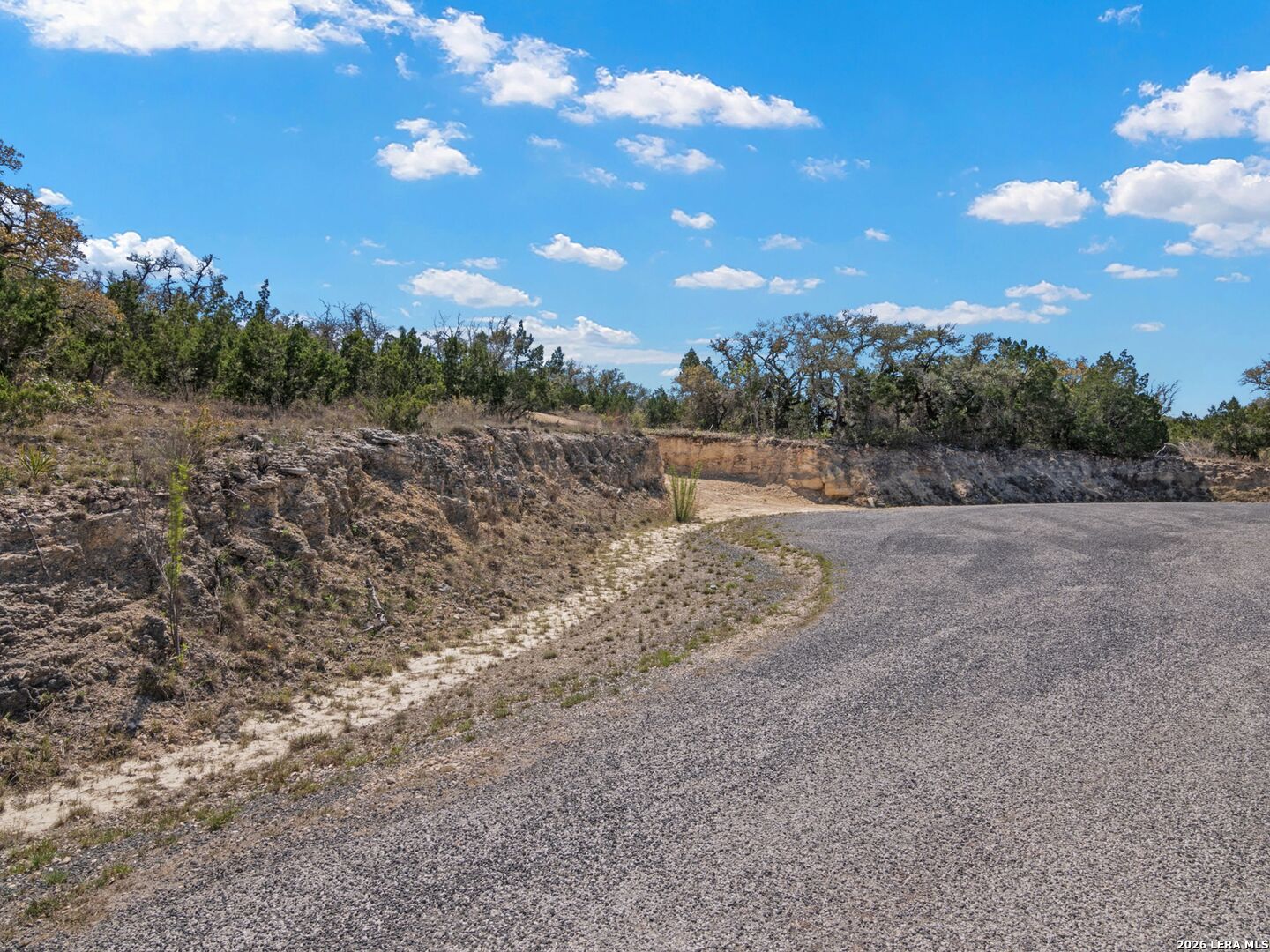 189 Table Rock Helotes, TX 78023 - Photo 77 of 91 a view of a dry yard with trees