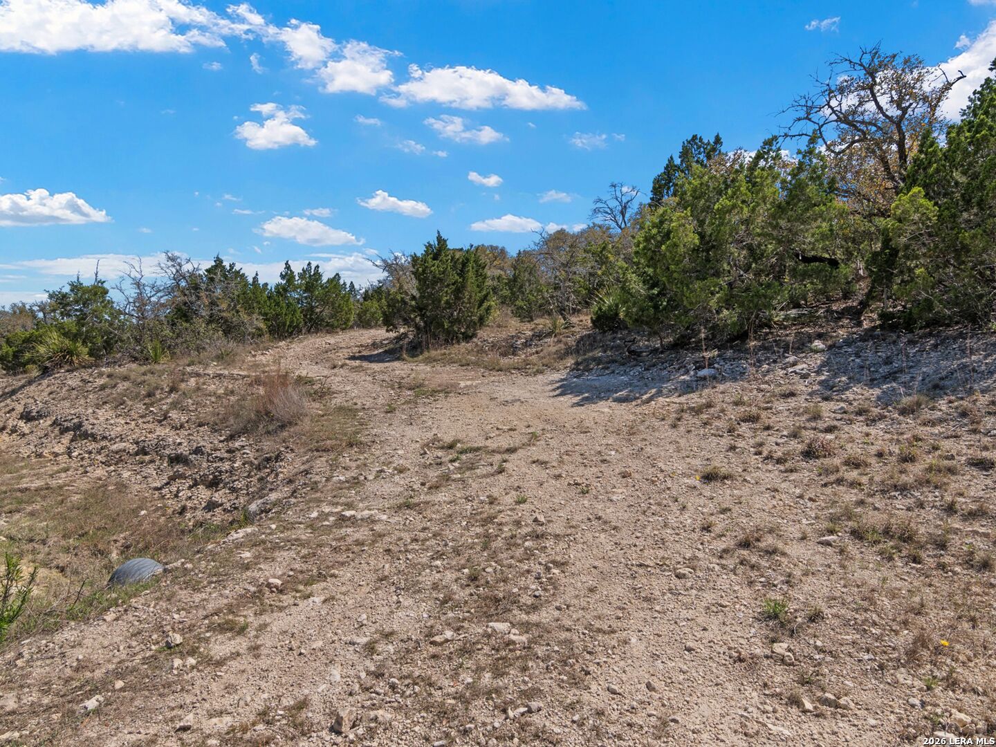 189 Table Rock Helotes, TX 78023 - Photo 78 of 91 a view of a yard with a tree