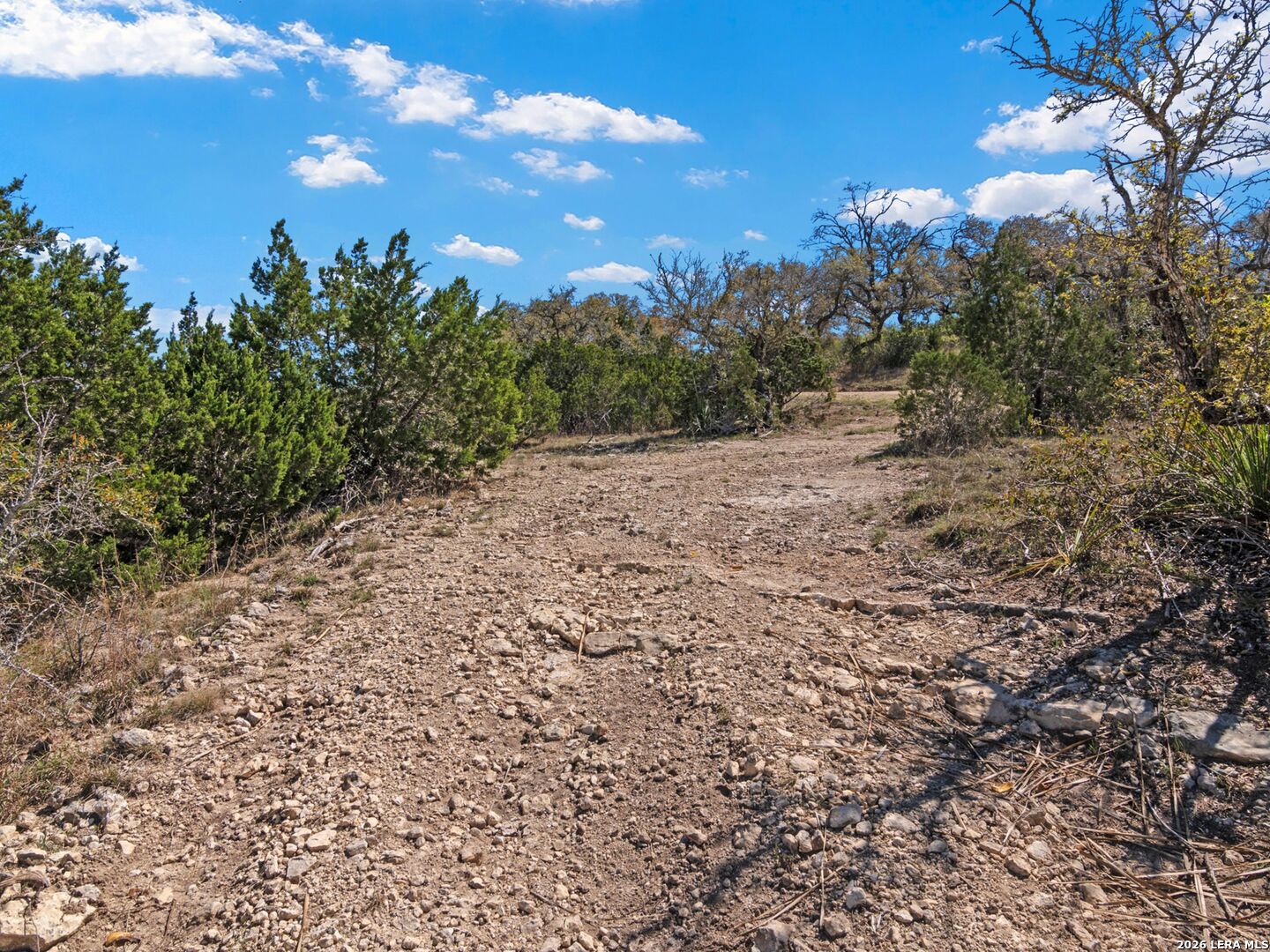 189 Table Rock Helotes, TX 78023 - Photo 79 of 91 a view of a yard with an trees