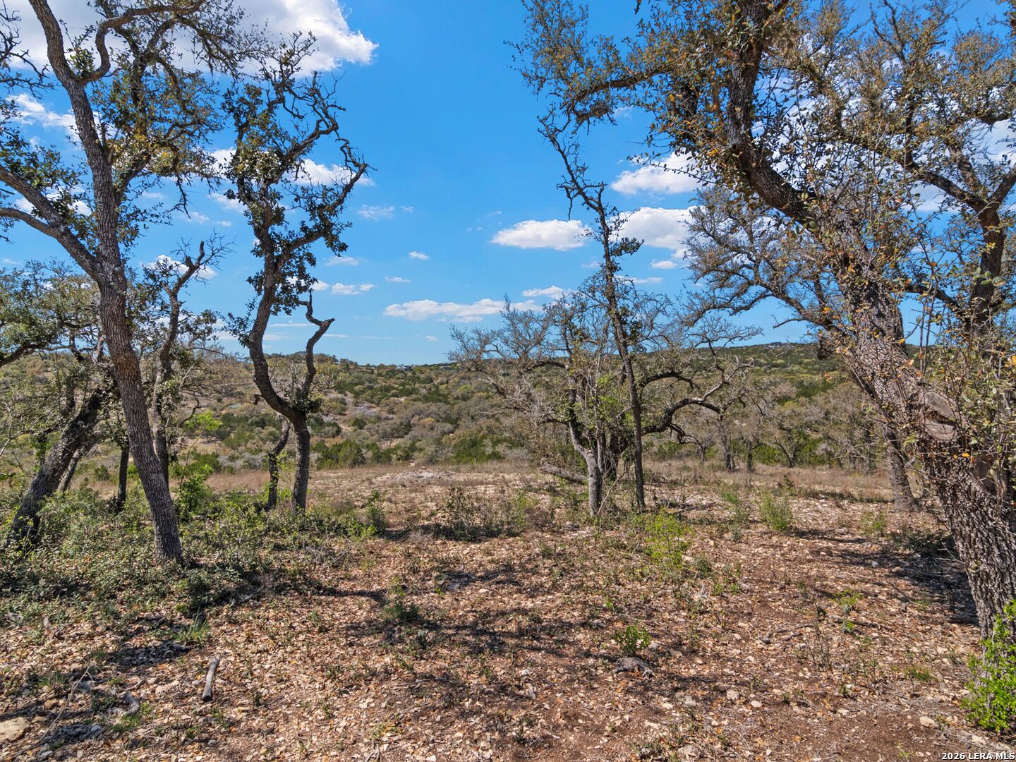 189 Table Rock Helotes, TX 78023 - Photo 8 of 91 a view of a yard
