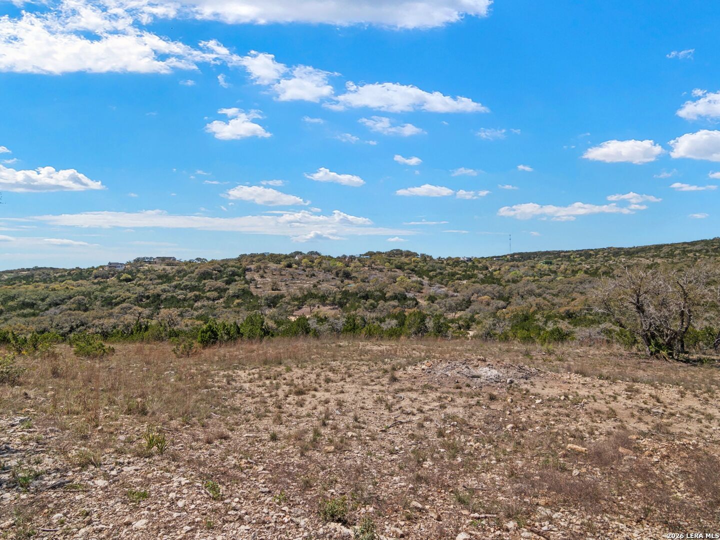 189 Table Rock Helotes, TX 78023 - Photo 10 of 91