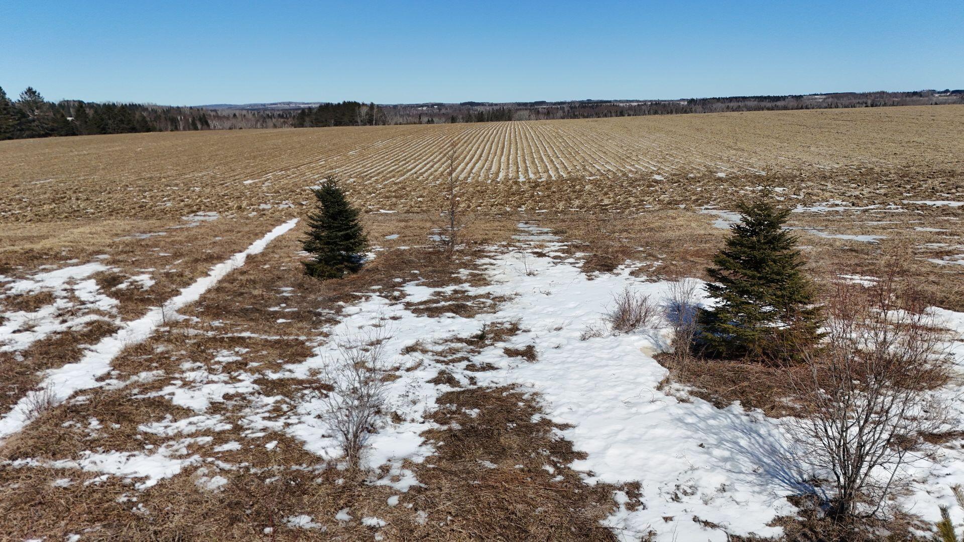 0 Washburn Road, Unit LOT 5 Washburn, ME 04786 - Photo 10 of 14 10