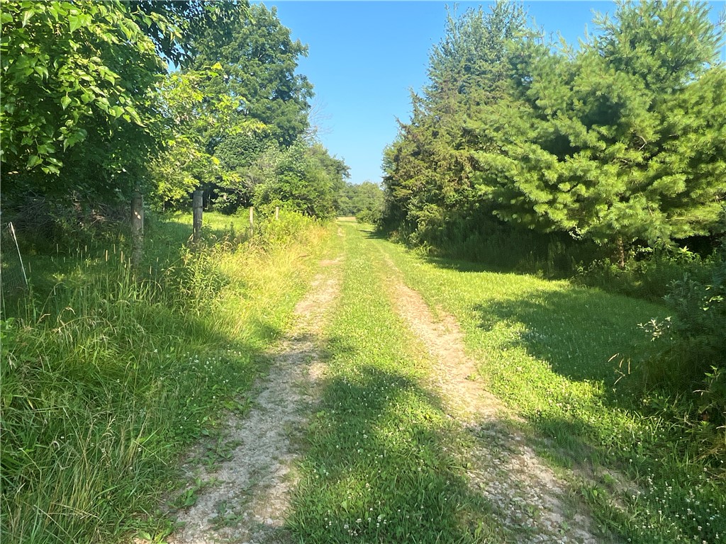 0 Stephen Young Road Camden, OH 45311 - Photo 5 of 57