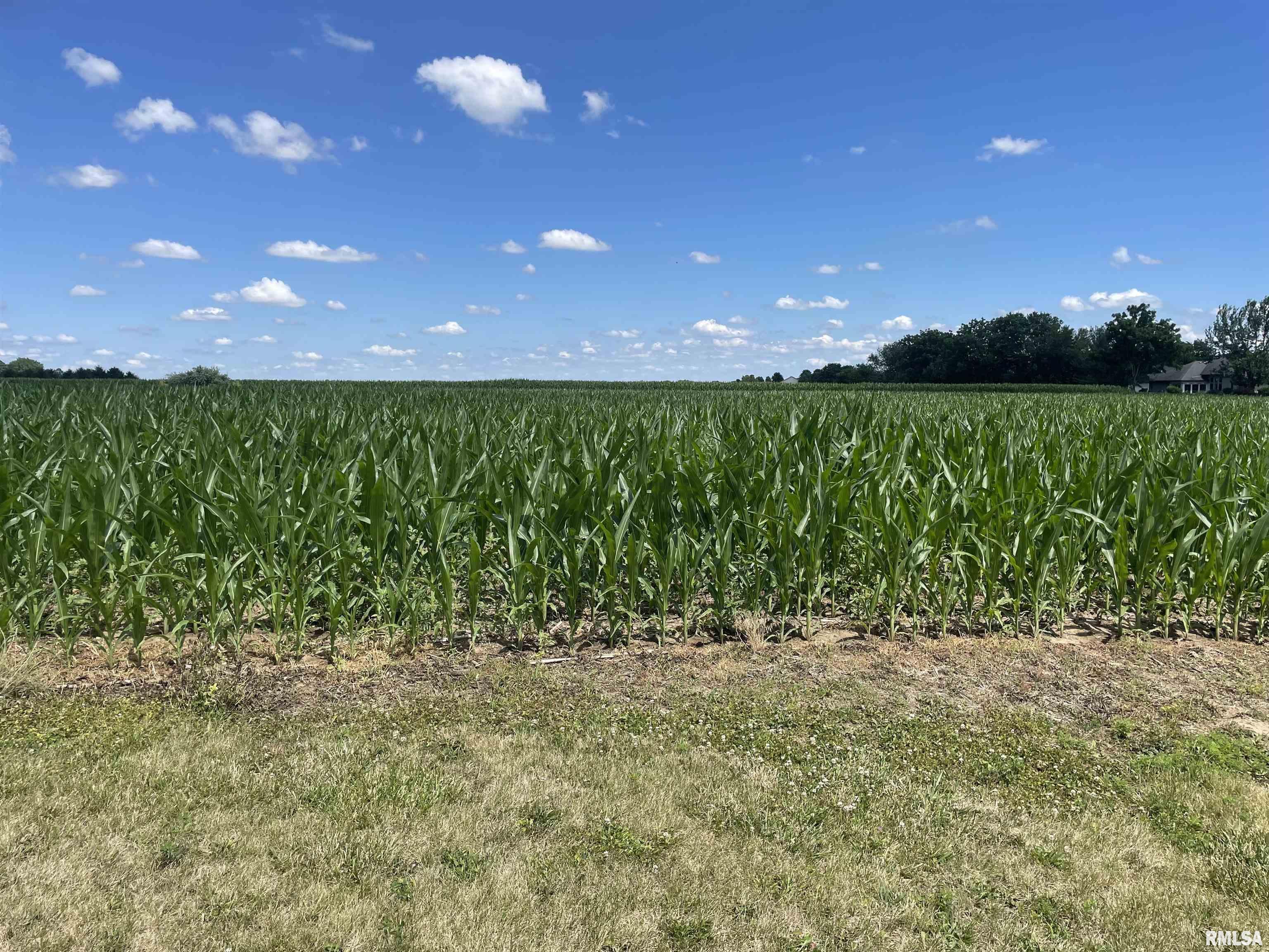 Lot 68 Centennial Park Street Springfield, IL 62711 - Photo 1 of 1