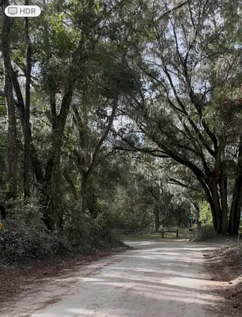a view of a tall trees in a yard