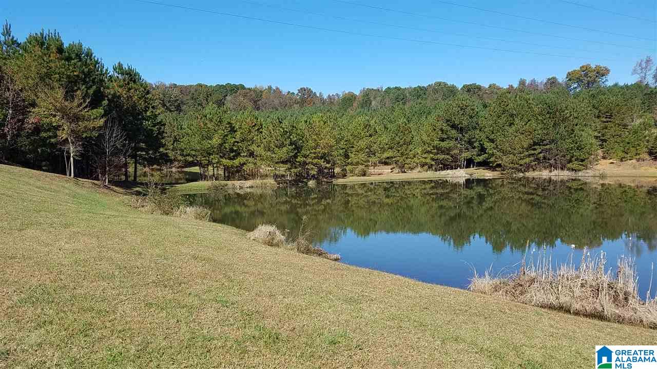 298 Bowerman Road Blountsville, AL 35031 - Photo 25 of 30