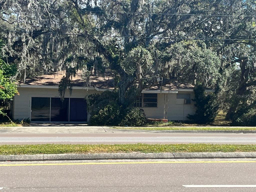 10218 Little Road New Port Richey, FL 34654 - Photo 1 of 1 Gallery Image 1