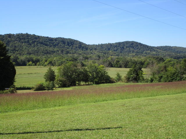 285 Rhodes Road New Market, TN 37820 - Photo 2 of 19 IMG_0392