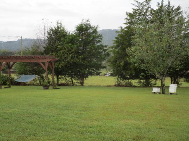 285 Rhodes Road New Market, TN 37820 - Photo 12 of 19 IMG_1696