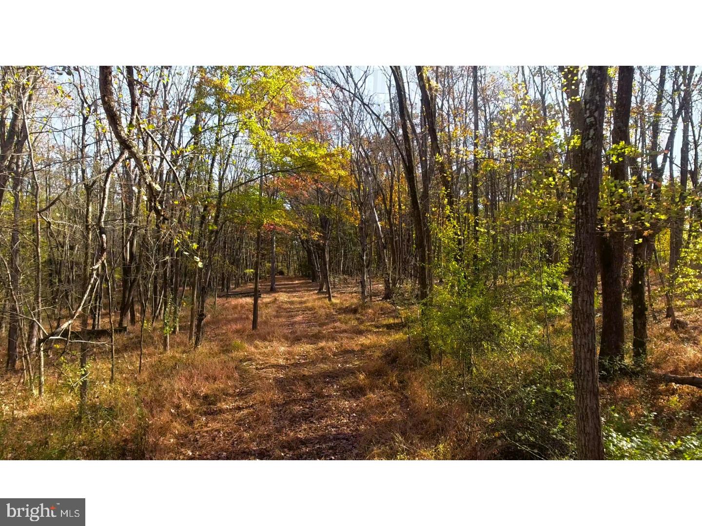 3800 Windy Bush Road New Hope, PA 18938 - Photo 2 of 13 Gallery Image 2